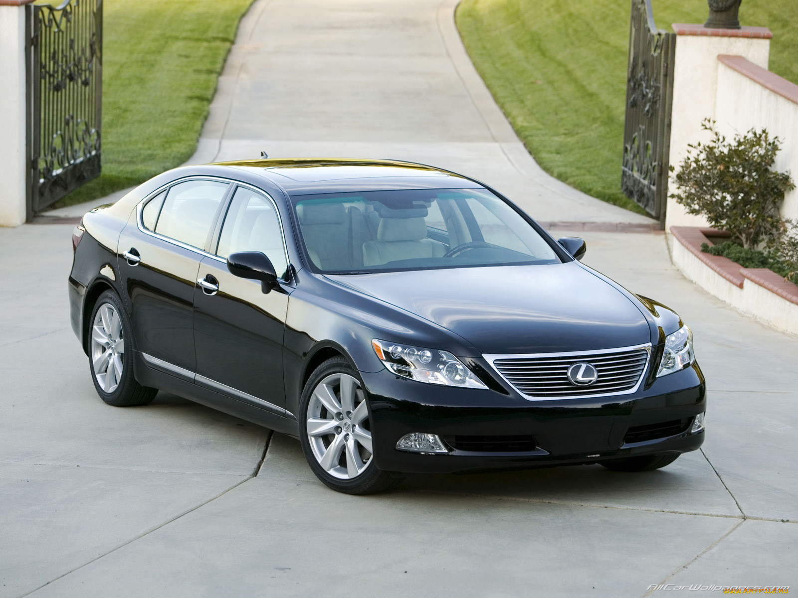 , lexus